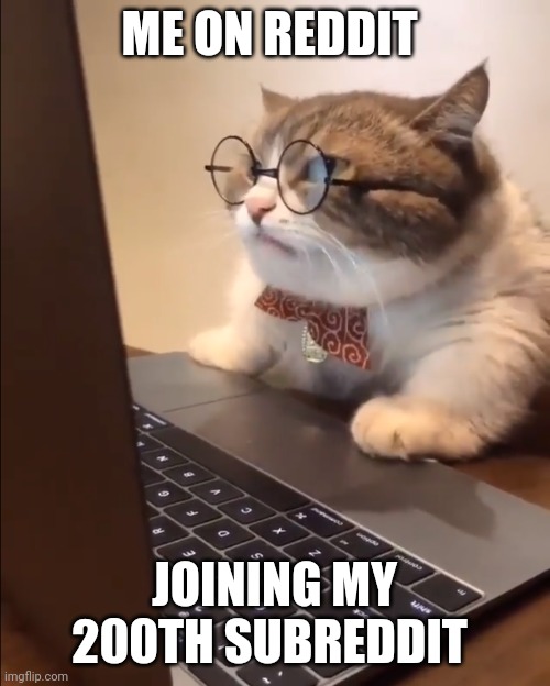 research cat | ME ON REDDIT; JOINING MY 200TH SUBREDDIT | image tagged in research cat | made w/ Imgflip meme maker