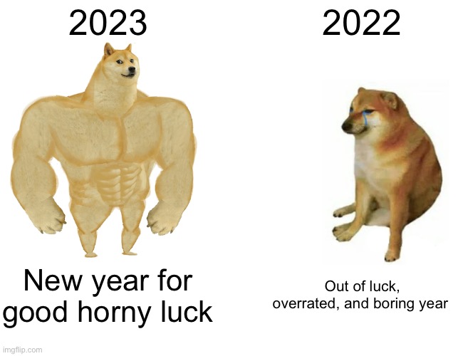 2023 vs 2022 | 2023; 2022; New year for good horny luck; Out of luck, overrated, and boring year | image tagged in memes,buff doge vs cheems,2023 | made w/ Imgflip meme maker
