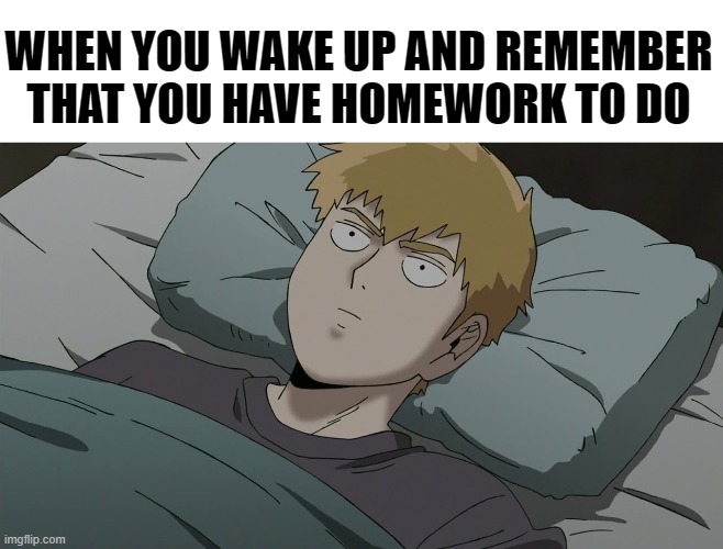 Reigen meme | WHEN YOU WAKE UP AND REMEMBER THAT YOU HAVE HOMEWORK TO DO | image tagged in mob psycho 100,anime memes,homework | made w/ Imgflip meme maker