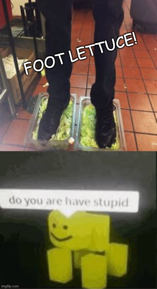 FOOT LETTUCE! | image tagged in do you are have stupid | made w/ Imgflip meme maker