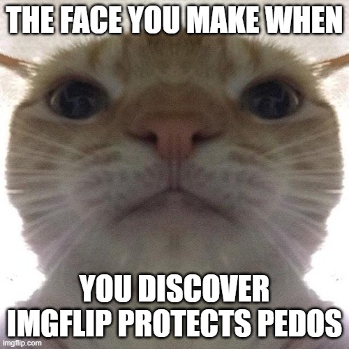 Staring Cat/Gusic | THE FACE YOU MAKE WHEN; YOU DISCOVER IMGFLIP PROTECTS PEDOS | image tagged in staring cat/gusic | made w/ Imgflip meme maker