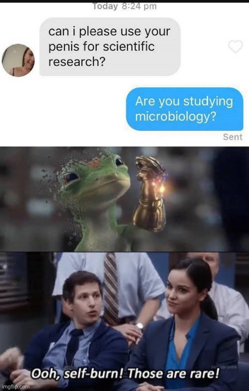 Last meme of 2022, happy new year everyone | image tagged in ooh self-burn those are rare | made w/ Imgflip meme maker