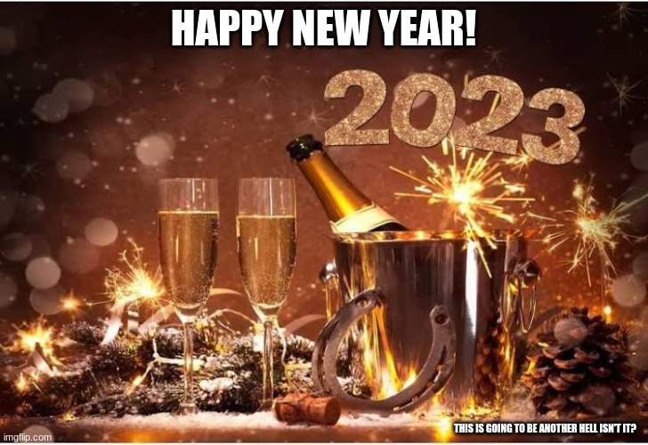 Happy New Year! | HAPPY NEW YEAR! THIS IS GOING TO BE ANOTHER HELL ISN'T IT? | image tagged in new year 2023 | made w/ Imgflip meme maker