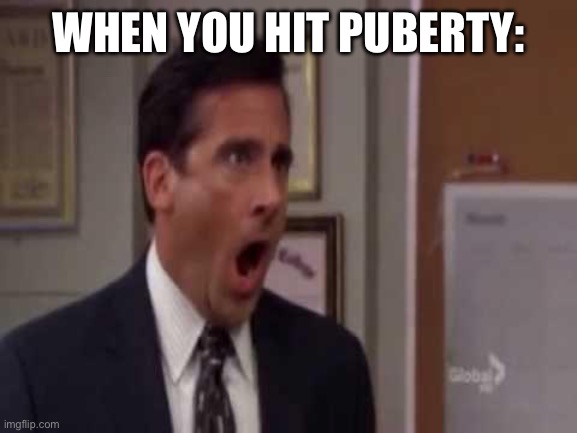No, God! No God Please No! | WHEN YOU HIT PUBERTY: | image tagged in no god no god please no | made w/ Imgflip meme maker