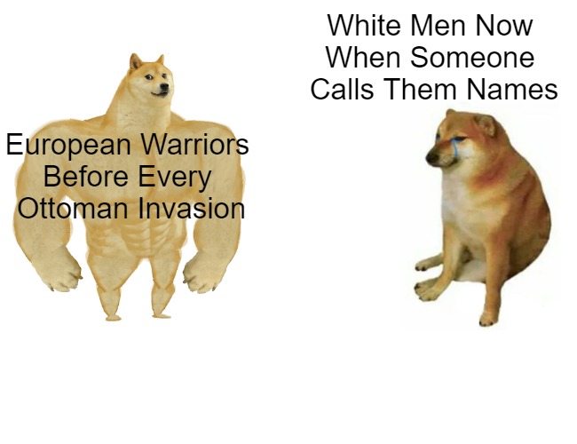 Knight Armor Looks Better Than Sixstripe-Rainbow Speedos | White Men Now 
When Someone 
Calls Them Names; European Warriors 
Before Every 
Ottoman Invasion | image tagged in memes,buff doge vs cheems,islamic invasion,defending europe,white people,western civilization | made w/ Imgflip meme maker