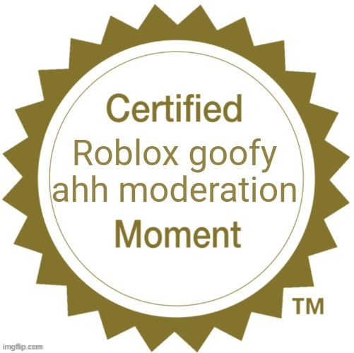 Certified Roblox goofy ahh moderation moment | image tagged in certified roblox goofy ahh moderation moment | made w/ Imgflip meme maker