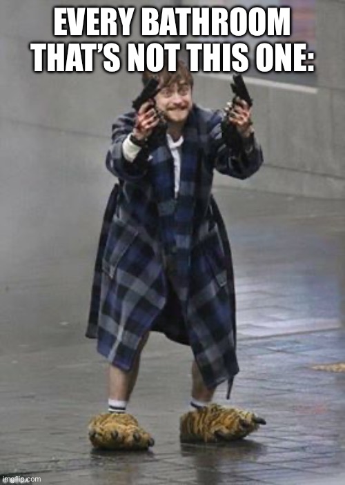 Daniel Radcliffe Guns | EVERY BATHROOM THAT’S NOT THIS ONE: | image tagged in daniel radcliffe guns | made w/ Imgflip meme maker