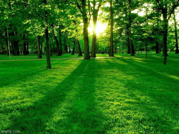 Greener grass | image tagged in greener grass | made w/ Imgflip meme maker