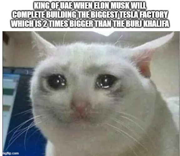 crying cat | KING OF UAE WHEN ELON MUSK WILL COMPLETE BUILDING THE BIGGEST TESLA FACTORY WHICH IS 2 TIMES BIGGER THAN THE BURJ KHALIFA | image tagged in crying cat | made w/ Imgflip meme maker