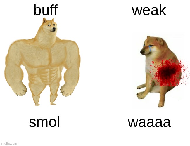Buff Doge vs. Cheems | buff; weak; smol; waaaa | image tagged in memes,buff doge vs cheems | made w/ Imgflip meme maker