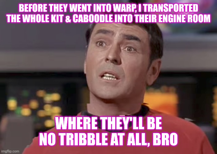Scotty, Bro | BEFORE THEY WENT INTO WARP, I TRANSPORTED THE WHOLE KIT & CABOODLE INTO THEIR ENGINE ROOM; WHERE THEY'LL BE NO TRIBBLE AT ALL, BRO | image tagged in star trek,tribbles | made w/ Imgflip meme maker