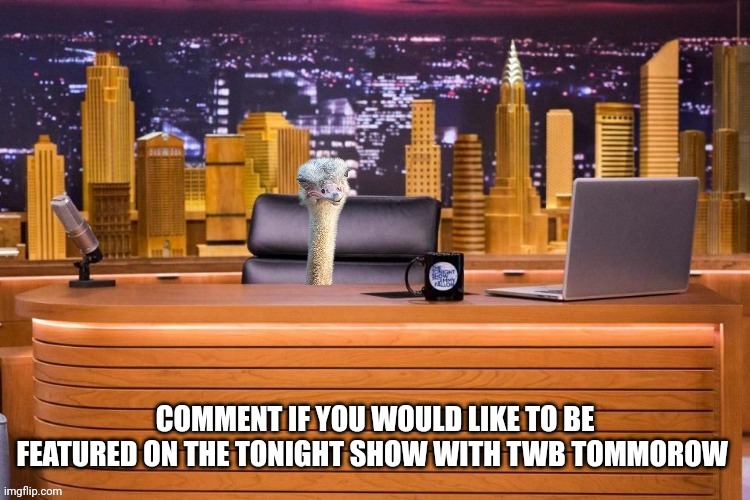 If there's more than one request I'll try and keep up | COMMENT IF YOU WOULD LIKE TO BE FEATURED ON THE TONIGHT SHOW WITH TWB TOMMOROW | image tagged in the tonight show with twb | made w/ Imgflip meme maker