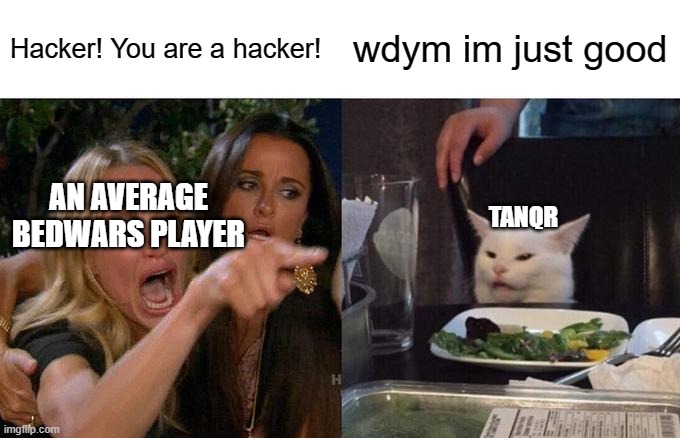 Woman Yelling At Cat | Hacker! You are a hacker! wdym im just good; AN AVERAGE BEDWARS PLAYER; TANQR | image tagged in memes,woman yelling at cat | made w/ Imgflip meme maker
