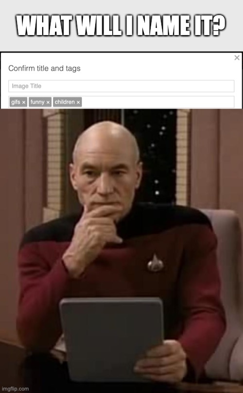anyone else get stumped right here sometimes? | WHAT WILL I NAME IT? | image tagged in picard thinking | made w/ Imgflip meme maker