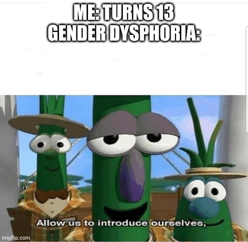 Allow us to introduce ourselves | ME: TURNS 13
GENDER DYSPHORIA: | image tagged in allow us to introduce ourselves | made w/ Imgflip meme maker