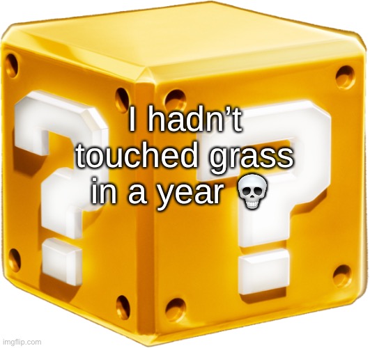 Mario ? Block | I hadn’t touched grass in a year 💀 | image tagged in mario block | made w/ Imgflip meme maker