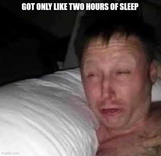 Sleepy guy | GOT ONLY LIKE TWO HOURS OF SLEEP | image tagged in sleepy guy | made w/ Imgflip meme maker