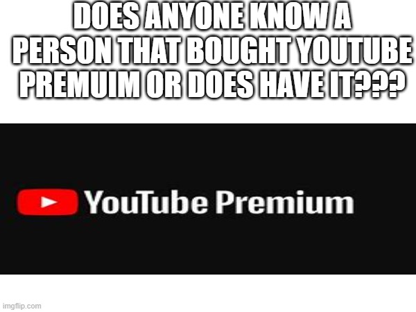 ??? | DOES ANYONE KNOW A PERSON THAT BOUGHT YOUTUBE PREMUIM OR DOES HAVE IT??? | image tagged in memes | made w/ Imgflip meme maker