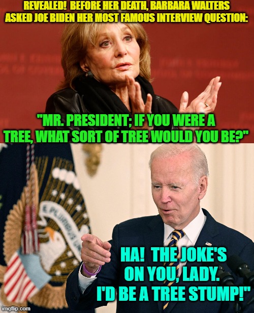 Well . . . for once, ol' Joe did not lie. | REVEALED!  BEFORE HER DEATH, BARBARA WALTERS ASKED JOE BIDEN HER MOST FAMOUS INTERVIEW QUESTION:; "MR. PRESIDENT; IF YOU WERE A TREE, WHAT SORT OF TREE WOULD YOU BE?"; HA!  THE JOKE'S ON YOU, LADY.  I'D BE A TREE STUMP!" | image tagged in truth | made w/ Imgflip meme maker