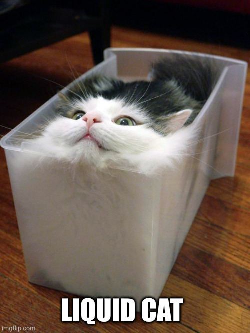 Liquid Cat | LIQUID CAT | image tagged in liquid cat | made w/ Imgflip meme maker