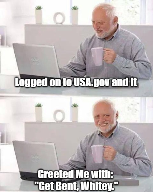 Improving Government Transparency | Logged on to USA.gov and It; Greeted Me with: 
"Get Bent, Whitey." | image tagged in memes,hide the pain harold,transparent,antiwhite,antiwhite america,white people | made w/ Imgflip meme maker