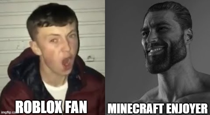 minecraft is for gigachads and roblox not (no offense) | ROBLOX FAN; MINECRAFT ENJOYER | image tagged in average enjoyer meme | made w/ Imgflip meme maker
