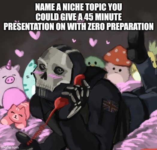 NAME A NICHE TOPIC YOU COULD GIVE A 45 MINUTE PRESENTATION ON WITH ZERO PREPARATION | image tagged in funny memes | made w/ Imgflip meme maker