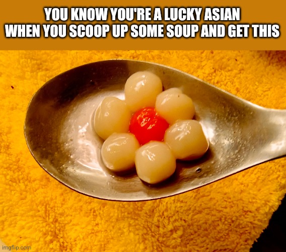 It's a flower | YOU KNOW YOU'RE A LUCKY ASIAN WHEN YOU SCOOP UP SOME SOUP AND GET THIS | image tagged in lucky charms,flowers | made w/ Imgflip meme maker