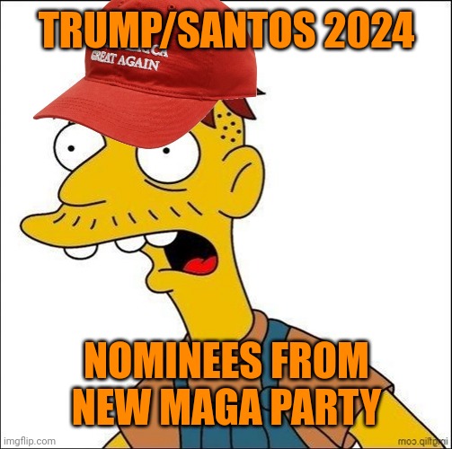 Some Kind Of MAGA Moron | TRUMP/SANTOS 2024 NOMINEES FROM NEW MAGA PARTY | image tagged in some kind of maga moron | made w/ Imgflip meme maker