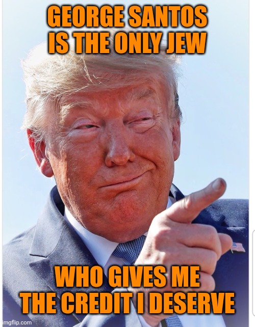 Trump pointing | GEORGE SANTOS IS THE ONLY JEW WHO GIVES ME THE CREDIT I DESERVE | image tagged in trump pointing | made w/ Imgflip meme maker