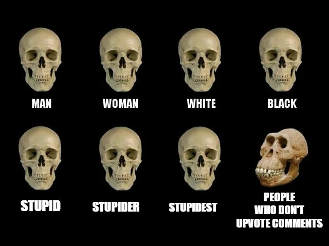 PEOPLE WHO DON'T UPVOTE COMMENTS; STUPIDER; STUPIDEST; STUPID | image tagged in skulls | made w/ Imgflip meme maker