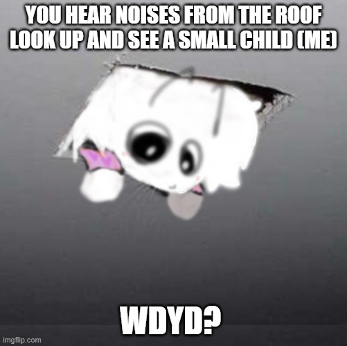 uidhfudhyfhduh idk what to put here | YOU HEAR NOISES FROM THE ROOF LOOK UP AND SEE A SMALL CHILD (ME); WDYD? | image tagged in rp,wdyd,idk anymore | made w/ Imgflip meme maker