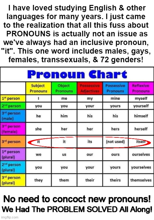 My Epiphany | I have loved studying English & other
languages for many years. I just came 
to the realization that all this fuss about 
PRONOUNS is actually not an issue as
we've always had an inclusive pronoun, 
"it". This one word includes males, gays, 
females, transsexuals, & 72 genders! No need to concoct new pronouns! We Had The PROBLEM SOLVED All Along! | image tagged in politics,english,pronouns,gender confusion,problem solved,political humor | made w/ Imgflip meme maker