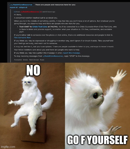 Confused confusion | NO; GO F YOURSELF | image tagged in memes,persian cat room guardian | made w/ Imgflip meme maker