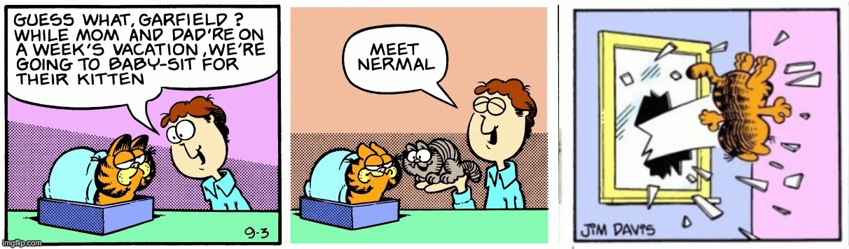 Request | image tagged in garfield gets thrown out of a window | made w/ Imgflip meme maker