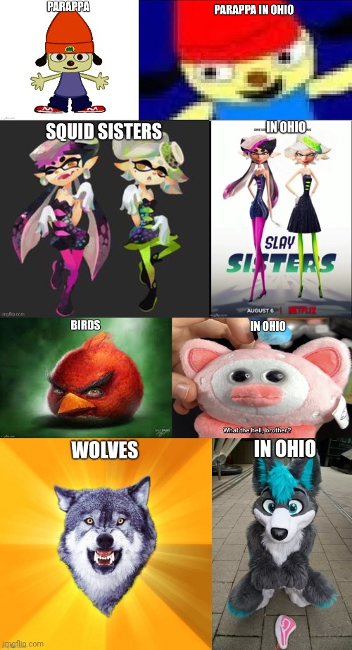 Everyday stuff that looks different in ohio | made w/ Imgflip meme maker