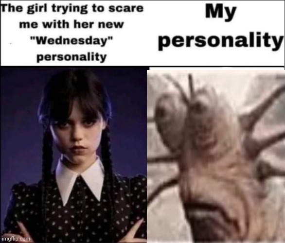 The girl trying to scare me with her new Wednesday personality | image tagged in the girl trying to scare me with her new wednesday personality,live slug reaction,funny memes | made w/ Imgflip meme maker