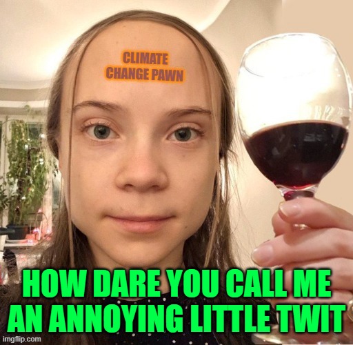 HOW DARE YOU CALL ME AN ANNOYING LITTLE TWIT | image tagged in climate change | made w/ Imgflip meme maker