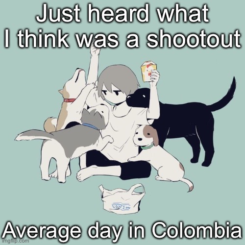 Avogado6 | Just heard what I think was a shootout; Average day in Colombia | image tagged in avogado6 | made w/ Imgflip meme maker