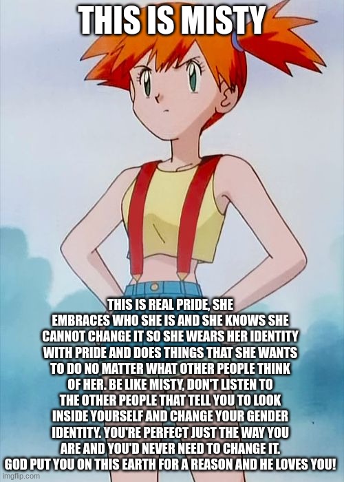 You're perfect | THIS IS MISTY; THIS IS REAL PRIDE, SHE EMBRACES WHO SHE IS AND SHE KNOWS SHE CANNOT CHANGE IT SO SHE WEARS HER IDENTITY WITH PRIDE AND DOES THINGS THAT SHE WANTS TO DO NO MATTER WHAT OTHER PEOPLE THINK OF HER. BE LIKE MISTY, DON'T LISTEN TO THE OTHER PEOPLE THAT TELL YOU TO LOOK INSIDE YOURSELF AND CHANGE YOUR GENDER IDENTITY. YOU'RE PERFECT JUST THE WAY YOU ARE AND YOU'D NEVER NEED TO CHANGE IT. GOD PUT YOU ON THIS EARTH FOR A REASON AND HE LOVES YOU! | image tagged in misty,god loves you just the way you are | made w/ Imgflip meme maker