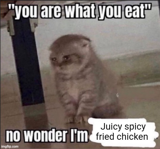 Juicy spicy fried chicken | Juicy spicy fried chicken | image tagged in you are what you eat,juicy,spicy,fried chicken,memes,chicken | made w/ Imgflip meme maker
