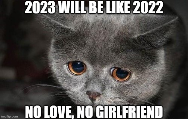 I'm too ugly for love | 2023 WILL BE LIKE 2022; NO LOVE, NO GIRLFRIEND | image tagged in sad cat,no girlfriend,forever alone,lonely | made w/ Imgflip meme maker