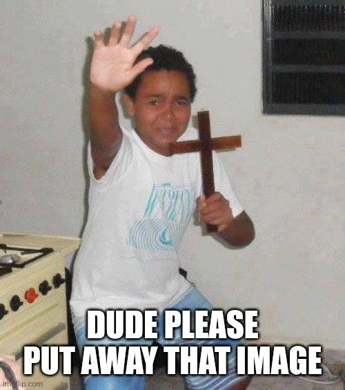 kid with cross | DUDE PLEASE PUT AWAY THAT IMAGE | image tagged in kid with cross | made w/ Imgflip meme maker