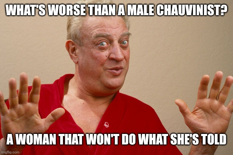 WHAT'S WORSE THAN A MALE CHAUVINIST? A WOMAN THAT WON'T DO WHAT SHE'S TOLD | made w/ Imgflip meme maker