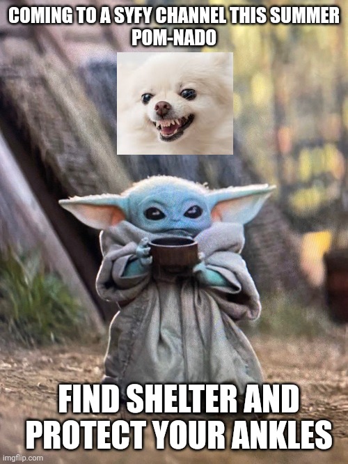 Pomeranian tornado syfy | COMING TO A SYFY CHANNEL THIS SUMMER
POM-NADO; FIND SHELTER AND PROTECT YOUR ANKLES | image tagged in baby yoda tea | made w/ Imgflip meme maker