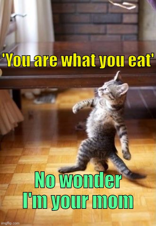 . | 'You are what you eat'; No wonder I'm your mom | image tagged in memes,cool cat stroll | made w/ Imgflip meme maker