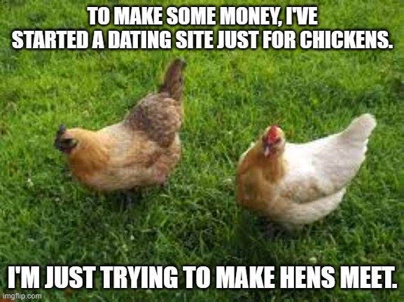 meme by Brad chicken dating service | TO MAKE SOME MONEY, I'VE STARTED A DATING SITE JUST FOR CHICKENS. I'M JUST TRYING TO MAKE HENS MEET. | image tagged in animals | made w/ Imgflip meme maker