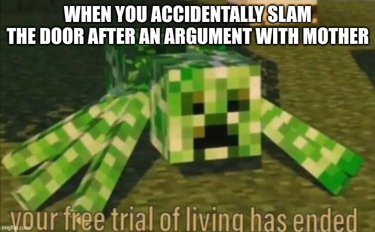 memez | WHEN YOU ACCIDENTALLY SLAM THE DOOR AFTER AN ARGUMENT WITH MOTHER | image tagged in your free trial of living has ended | made w/ Imgflip meme maker