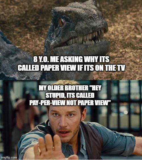 Still Not Getting It | 8 Y.O. ME ASKING WHY ITS CALLED PAPER VIEW IF ITS ON THE TV; MY OLDER BROTHER "HEY STUPID, ITS CALLED PAY-PER-VIEW NOT PAPER VIEW" | image tagged in funny memes,jurassic world,chris pratt,dank memes,original meme,true story | made w/ Imgflip meme maker