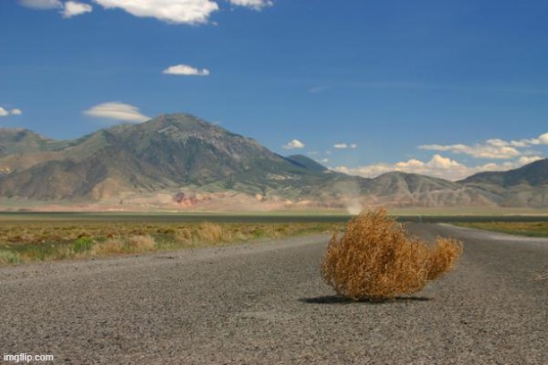 tumbleweed | image tagged in tumbleweed | made w/ Imgflip meme maker